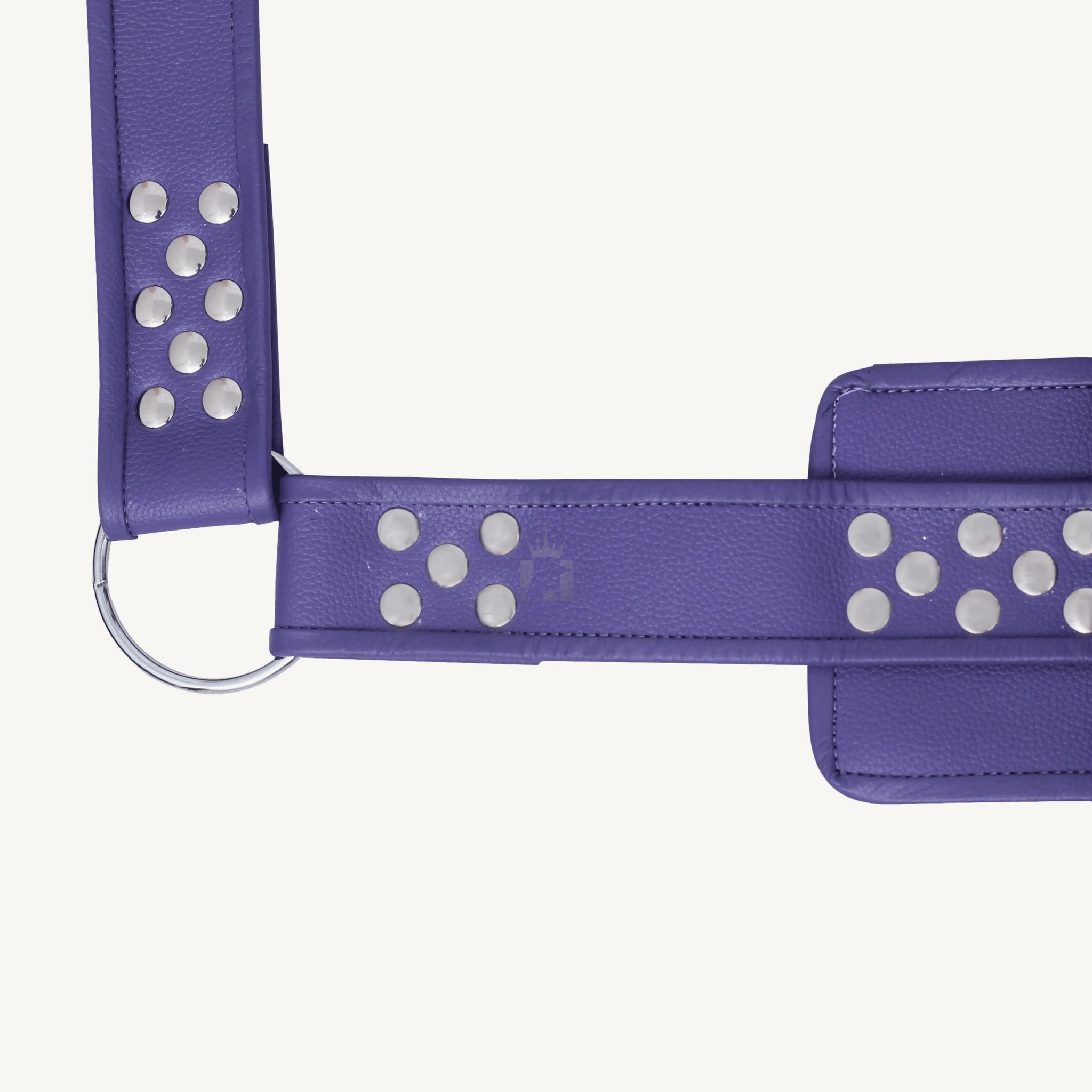 Leather Sex Swing, Leather Bondage Swing