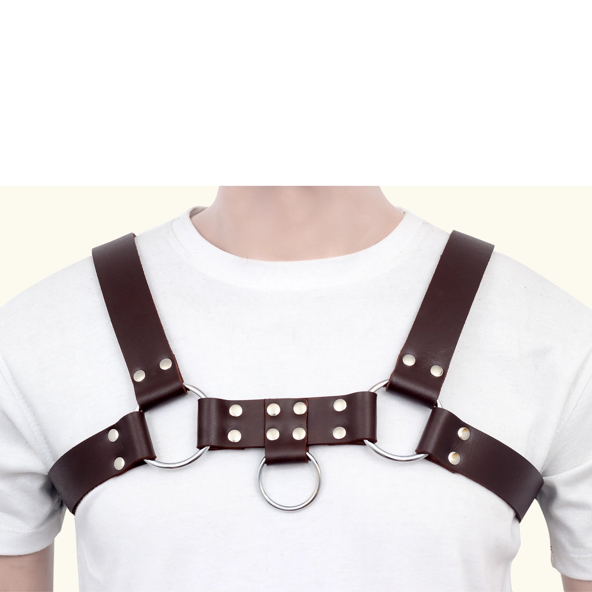 specification image of Leather Bulldog Chest Harness