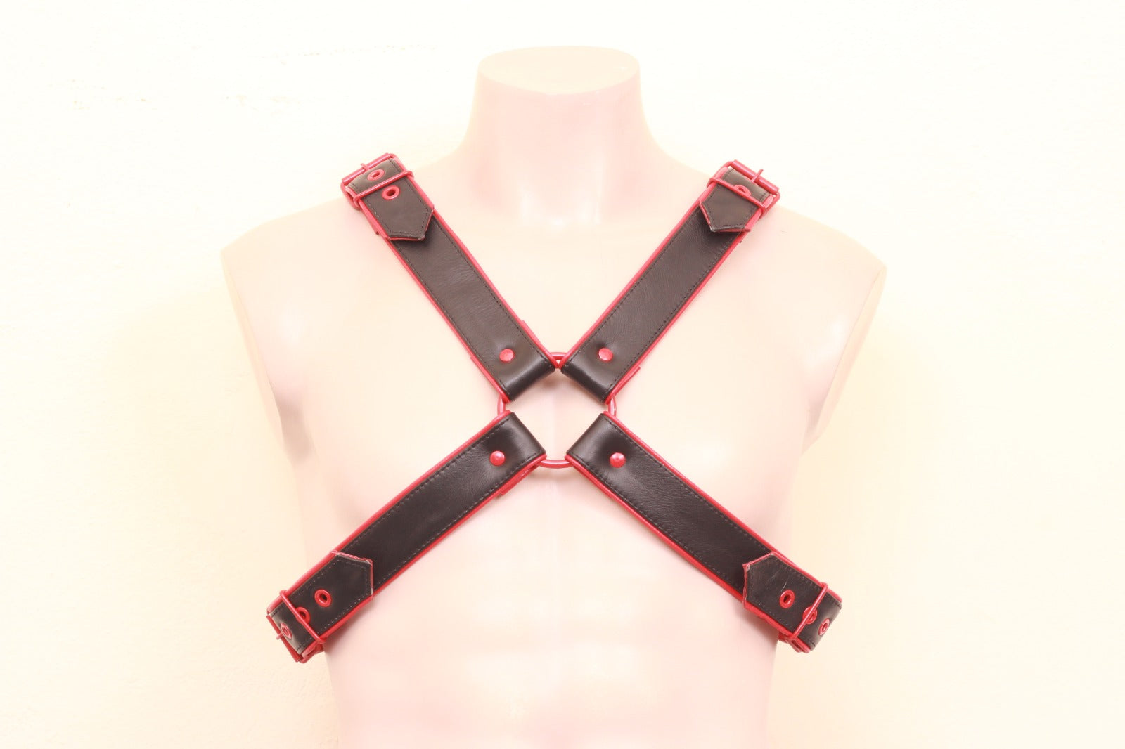 Front Image of Leather X Harness