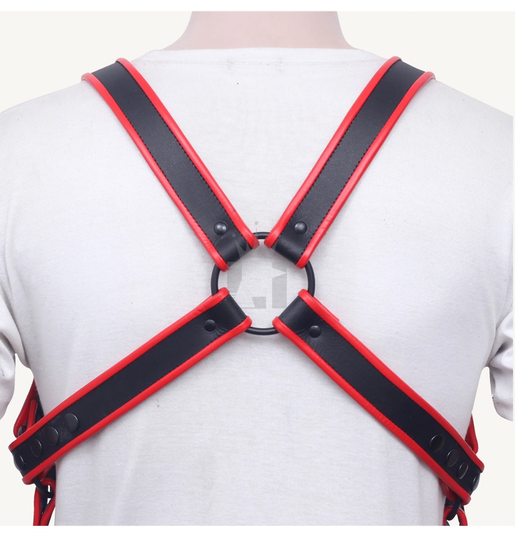 Rear view of leather chest harness with red-lined straps crossing into a central O-ring.