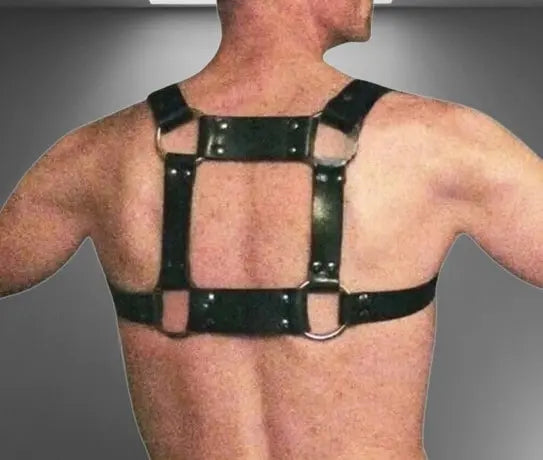 A model wearing Gay Bear Harness - backside view image