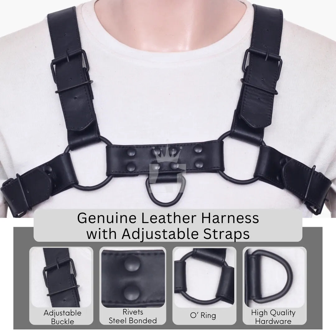 Infographic of genuine leather chest harness highlighting adjustable buckles, O-rings, rivets, and D-ring hardware.