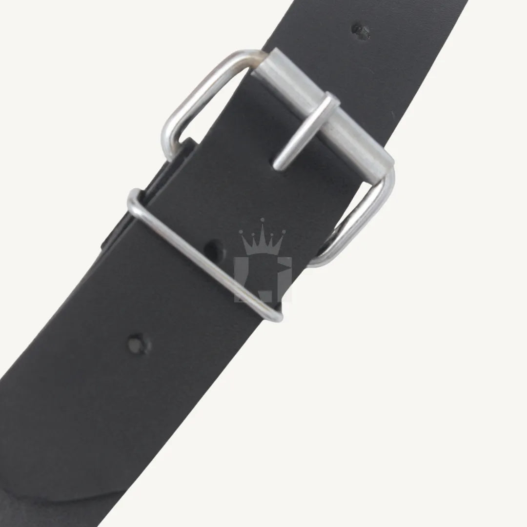 Detailed close-up view of the silver buckle fastening on a leather harness strap.