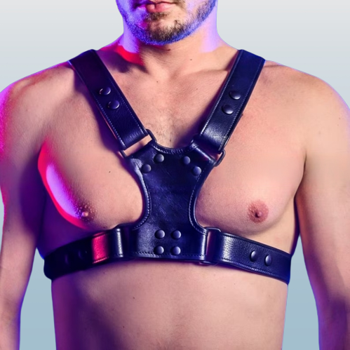 Front side image of model wearing Mens Leather Bulldog Harness in BDSM Play
