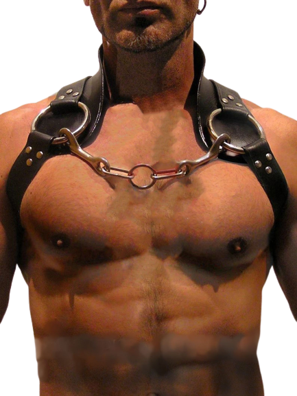 Model wear a Leather Shoulder Harness - front image
