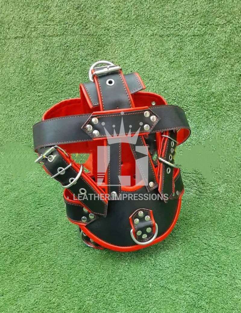 Product view of Bondage Muzzle With BDSM Head Harness