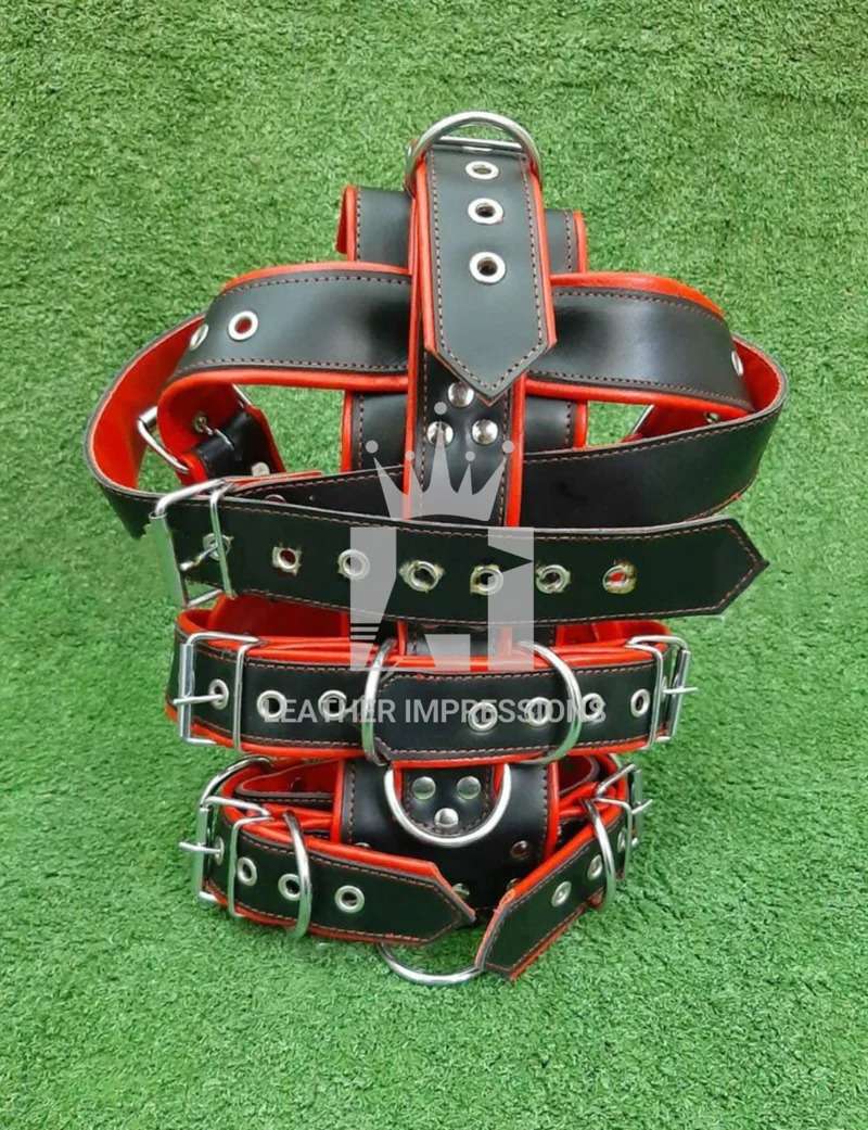 Product view of Bondage Muzzle With BDSM Head Harness