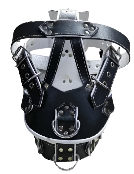 Product view of Bondage Muzzle With BDSM Head Harness