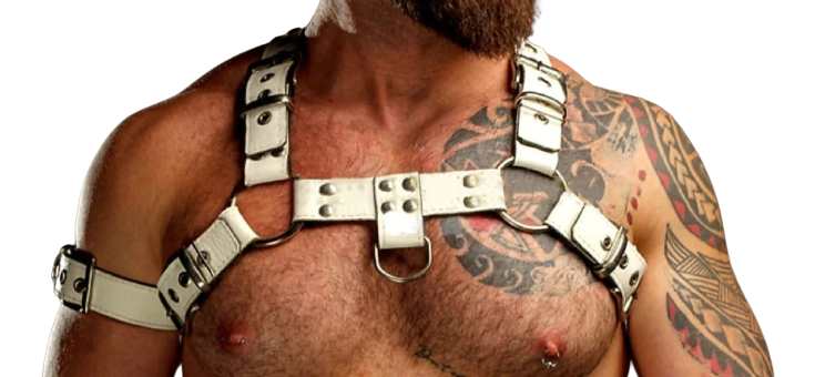 An actor wear Leather Chest Harness Mens - Front image
