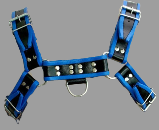 Gay Sex Harness front image 
