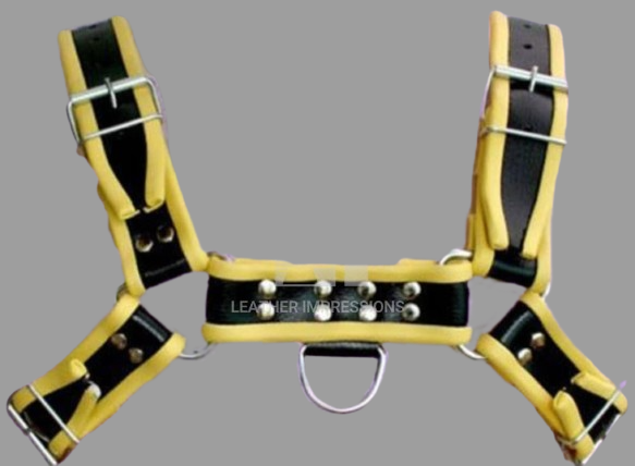 Gay Sex Harness