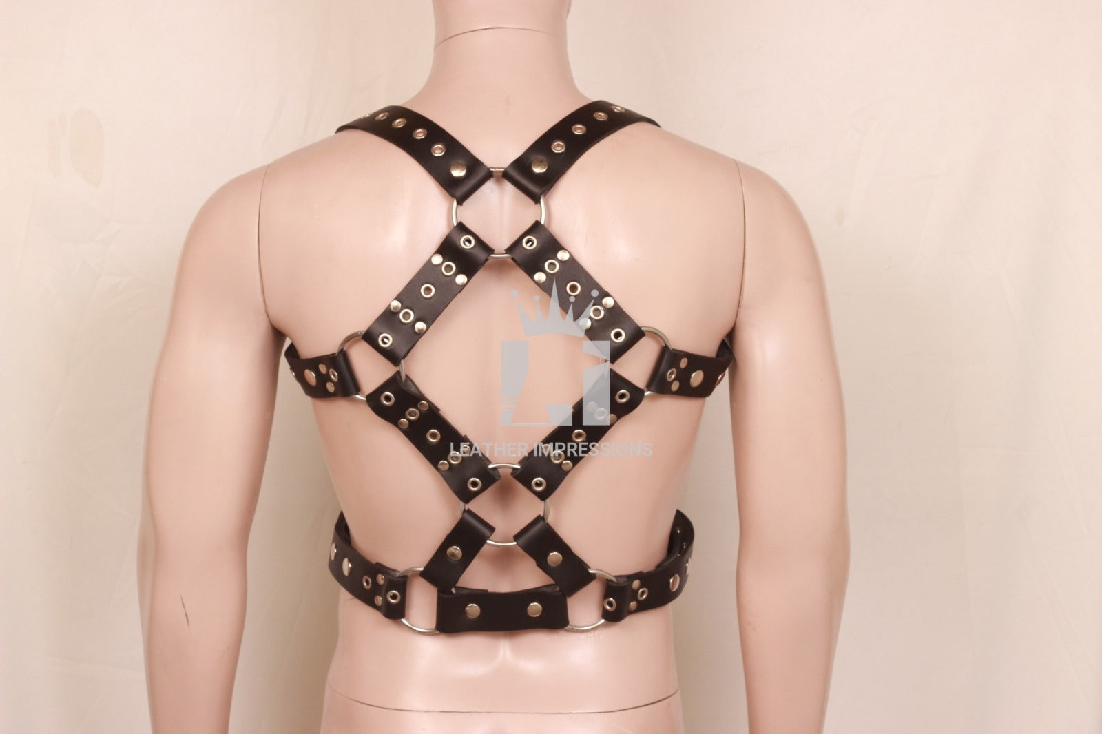 Backside  view image of model wearing Gay Mens Harness