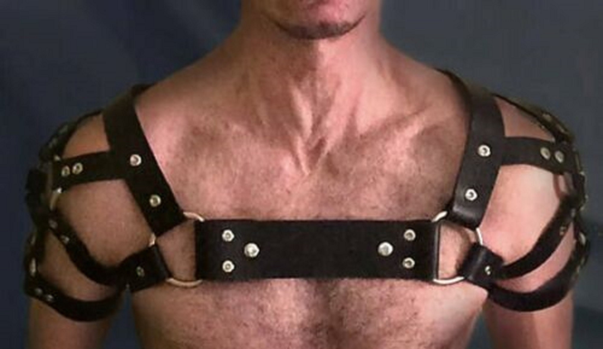 Leather Bulldog Gay Harness, Leather Bulldog harness, Leather Bondage Harness