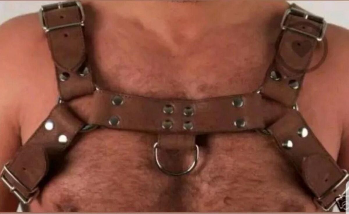 Leather Bondage Harness, Bondage Harness, leather harness